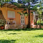Theocharis Paradise