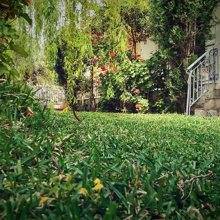 Theocharis Paradise *