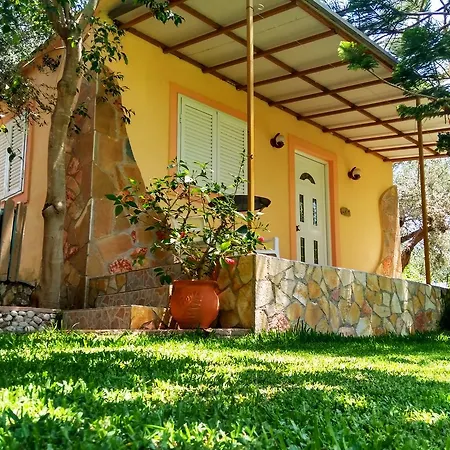 Theocharis Paradise *