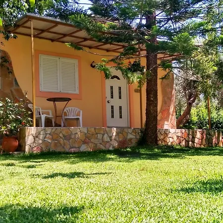 Theocharis Paradise