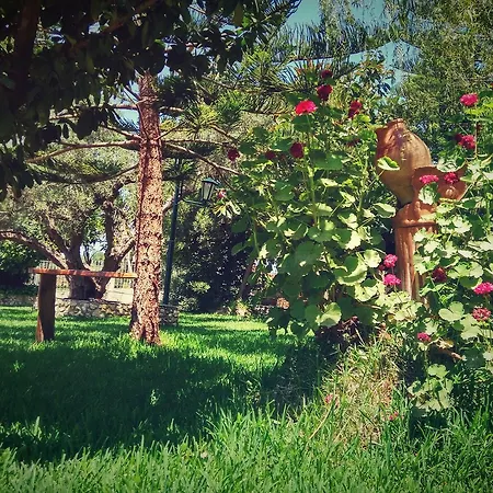 Theocharis Paradise * Γλύφα